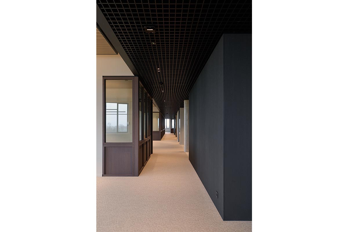 8002 UMBER BROWN 13.jpg